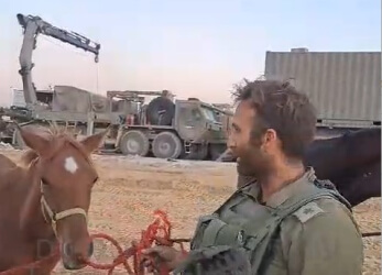 במהלך הלחימה: החיילים חילצו סוסים והעבירו אותם לשטח ישראל • צפו